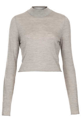 Knitted Merino Turtle Jumper - pattern: plain; neckline: high neck; length: cropped; style: standard; predominant colour: stone; occasions: casual, work, creative work; fibres: wool - 100%; fit: standard fit; sleeve length: long sleeve; sleeve style: standard; texture group: knits/crochet; season: a/w 2013