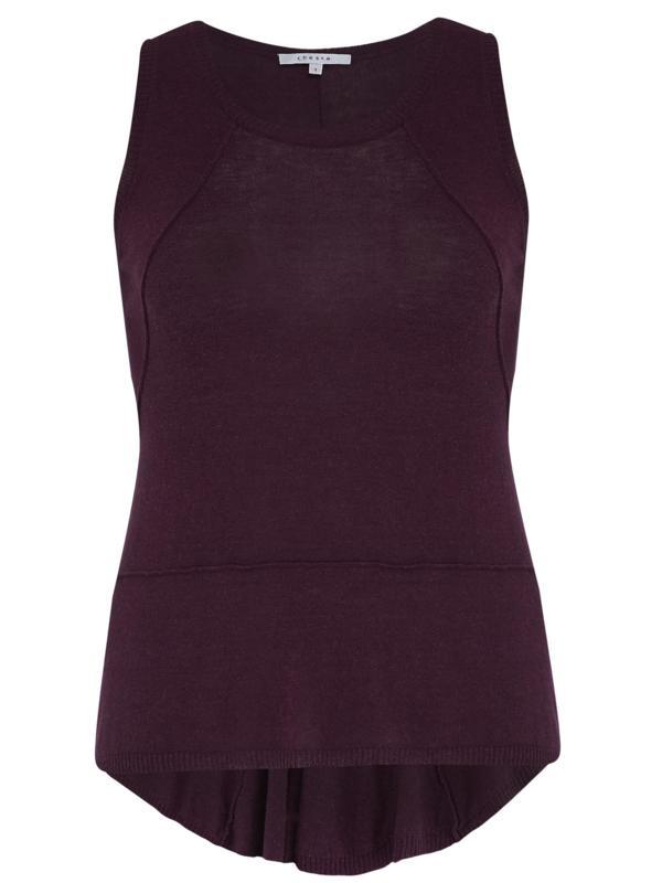 Plum Seamed Knitted Top With Godet - neckline: round neck; pattern: plain; sleeve style: sleeveless; predominant colour: aubergine; occasions: casual; length: standard; style: top; fit: body skimming; sleeve length: sleeveless; texture group: knits/crochet; pattern type: knitted - fine stitch; season: a/w 2014