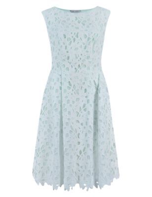 Embroidered Overlay Shift Dress - sleeve style: sleeveless; predominant colour: pistachio; occasions: evening, occasion; length: just above the knee; fit: fitted at waist & bust; style: fit & flare; fibres: polyester/polyamide - 100%; neckline: crew; hip detail: structured pleats at hip; sleeve length: sleeveless; texture group: lace; pattern type: fabric; pattern size: standard; pattern: patterned/print; embellishment: embroidered; season: s/s 2015