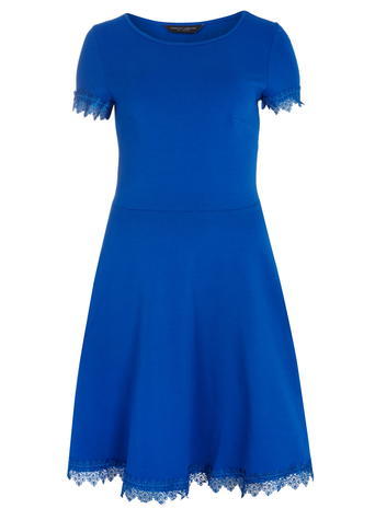 Womens **Tall Blue Lace Trim Dress Blue - predominant colour: royal blue; season: a/w 2015