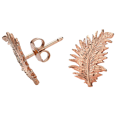 Small 18ct Rose Gold Vermeil Feather Stud Earrings - predominant colour: gold; occasions: evening, occasion, holiday; style: stud; length: short; size: small/fine; material: chain/metal; fastening: pierced; finish: metallic; season: a/w 2015