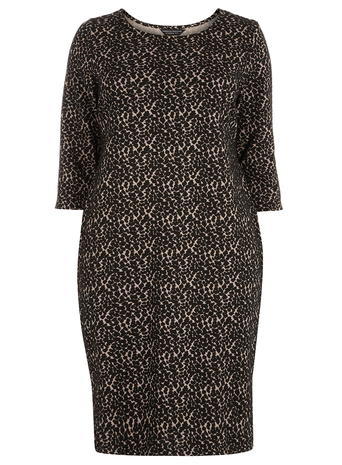 Womens **Dp Curve Neutral Animal Bodycon Dress Neutral - style: shift; secondary colour: stone; predominant colour: black; occasions: evening; length: just above the knee; fit: body skimming; fibres: polyester/polyamide - stretch; neckline: crew; sleeve length: short sleeve; sleeve style: standard; texture group: jersey - clingy; pattern type: fabric; pattern size: standard; pattern: animal print; season: a/w 2015