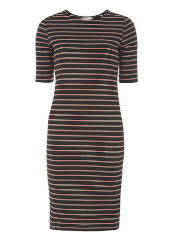 Womens Petite Bodycon Stripe Dress Black - fit: tight; pattern: horizontal stripes; style: bodycon; predominant colour: camel; secondary colour: black; occasions: evening; length: just above the knee; fibres: polyester/polyamide - stretch; neckline: crew; sleeve length: short sleeve; sleeve style: standard; texture group: jersey - clingy; pattern type: fabric; multicoloured: multicoloured; season: a/w 2015