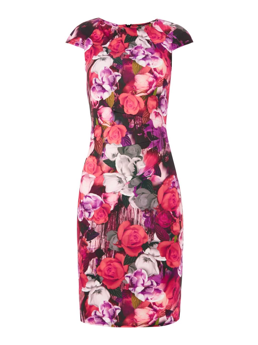 Cap Sleeve Round Neck Floral Bodycon Dress, Multi Coloured - style: shift; sleeve style: capped; fit: tailored/fitted; secondary colour: white; predominant colour: hot pink; length: on the knee; fibres: polyester/polyamide - stretch; occasions: occasion; neckline: crew; sleeve length: short sleeve; pattern type: fabric; pattern: florals; texture group: other - light to midweight; season: s/s 2016; wardrobe: event