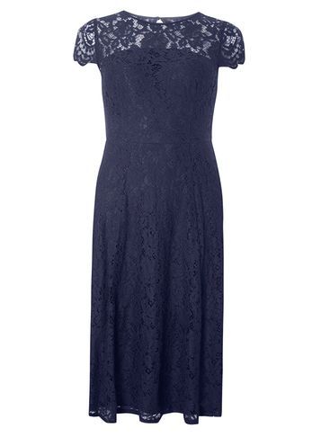 Womens Lace Scallop Back Midi Dress Navy - sleeve style: capped; predominant colour: navy; occasions: evening; length: on the knee; fit: fitted at waist & bust; style: fit & flare; fibres: polyester/polyamide - 100%; neckline: crew; sleeve length: short sleeve; texture group: lace; pattern type: fabric; pattern size: standard; pattern: patterned/print; season: a/w 2016; wardrobe: event