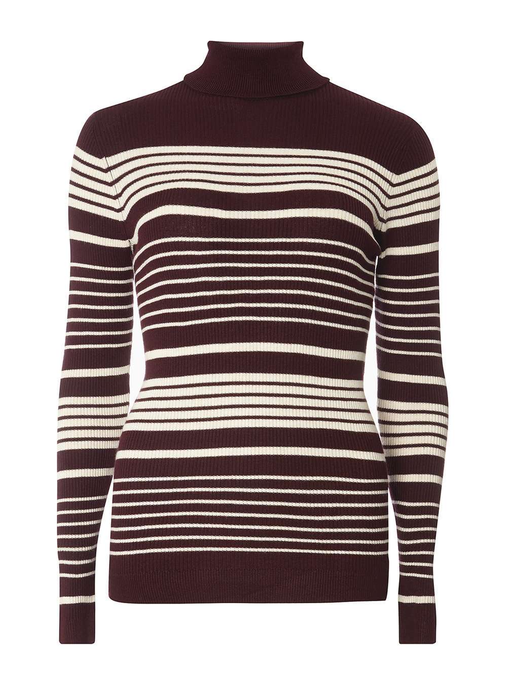Womens Aubergine Stripe Roll Neck Jumper Purple - pattern: striped; neckline: roll neck; style: standard; secondary colour: white; predominant colour: aubergine; occasions: casual; length: standard; fit: standard fit; sleeve length: long sleeve; sleeve style: standard; texture group: knits/crochet; pattern type: knitted - fine stitch; fibres: viscose/rayon - mix; multicoloured: multicoloured; season: a/w 2016; wardrobe: highlight