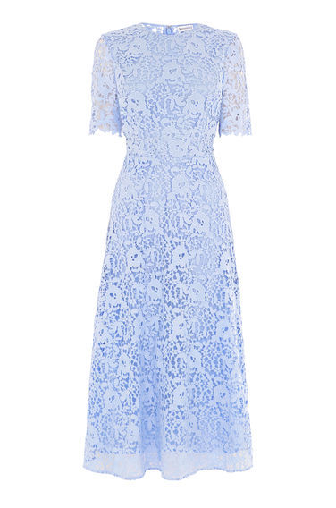 Premium Lace Sleeve Dress - length: below the knee; predominant colour: pale blue; occasions: evening, occasion; fit: fitted at waist & bust; style: fit & flare; fibres: polyester/polyamide - 100%; neckline: crew; sleeve length: short sleeve; sleeve style: standard; texture group: lace; pattern type: fabric; pattern size: standard; pattern: patterned/print; wardrobe: event; season: s/s 2017