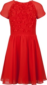 Ted Baker Pennyy Floral Embellished Dress - neckline: round neck; pattern: plain; bust detail: added detail/embellishment at bust; waist detail: twist front waist detail/nipped in at waist on one side/soft pleats/draping/ruching/gathering waist detail; predominant colour: true red; occasions: evening, occasion; length: just above the knee; fit: fitted at waist & bust; style: fit & flare; fibres: polyester/polyamide - 100%; hip detail: soft pleats at hip/draping at hip/flared at hip; sleeve length: short sleeve; sleeve style: standard; texture group: sheer fabrics/chiffon/organza etc.; trends: sculptural frills; pattern type: fabric; pattern size: small & light