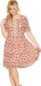 Lace Trim Tea Dress, Orange - style: tea dress; neckline: round neck; secondary colour: coral; predominant colour: nude; occasions: casual; length: on the knee; fit: fitted at waist & bust; fibres: polyester/polyamide - 100%; hip detail: structured pleats at hip; bust detail: contrast pattern/fabric/detail at bust; sleeve length: short sleeve; sleeve style: standard; texture group: sheer fabrics/chiffon/organza etc.; pattern type: fabric; pattern size: big & busy; pattern: florals; embellishment: lace