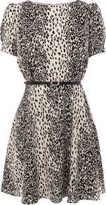 Women's Animal Skater Dress, Multi Coloured - length: mid thigh; neckline: round neck; waist detail: belted waist/tie at waist/drawstring; predominant colour: ivory; secondary colour: black; occasions: evening; fit: fitted at waist & bust; style: fit & flare; fibres: cotton - 100%; hip detail: soft pleats at hip/draping at hip/flared at hip; sleeve length: short sleeve; sleeve style: standard; texture group: sheer fabrics/chiffon/organza etc.; pattern type: fabric; pattern size: small & busy; pattern: animal print