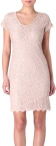 Wanda Lace Dress - style: shift; neckline: round neck; pattern: plain; predominant colour: blush; occasions: evening, occasion, holiday; length: just above the knee; fit: body skimming; sleeve length: short sleeve; sleeve style: standard; texture group: lace; pattern type: fabric; pattern size: standard; fibres: viscose/rayon - mix