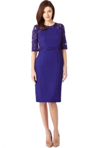 Elsa Lace Dress - style: shift; neckline: round neck; fit: tailored/fitted; pattern: plain; waist detail: embellishment at waist/feature waistband; hip detail: fitted at hip; shoulder detail: contrast pattern/fabric at shoulder; predominant colour: purple; occasions: evening, occasion; length: on the knee; sleeve length: 3/4 length; sleeve style: standard; texture group: crepes; pattern type: fabric; pattern size: standard; fibres: viscose/rayon - mix