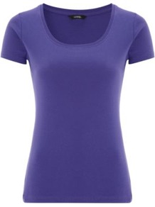 Scooped Neck T Shirt Plum - pattern: plain; waist detail: fitted waist; style: t-shirt; predominant colour: purple; occasions: casual, work; length: standard; neckline: scoop; fibres: cotton - 100%; fit: body skimming; sleeve length: short sleeve; sleeve style: standard; pattern type: fabric; pattern size: standard; texture group: jersey - stretchy/drapey