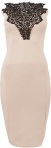 Shell Pink And Black Crochet Front Bodycon Dress - neckline: slash/boat neckline; fit: tight; pattern: plain; sleeve style: sleeveless; style: bodycon; back detail: low cut/open back; hip detail: fitted at hip; predominant colour: blush; occasions: evening, occasion; length: just above the knee; fibres: polyester/polyamide - 100%; bust detail: contrast pattern/fabric/detail at bust; sleeve length: sleeveless; texture group: jersey - clingy; pattern type: fabric; pattern size: standard