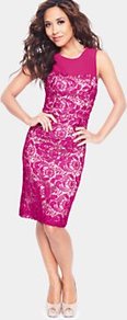 Guipure Bodycon Lace Dress, Pink - style: shift; neckline: round neck; pattern: plain; sleeve style: sleeveless; waist detail: fitted waist; hip detail: fitted at hip; back detail: contrast pattern/fabric at back; predominant colour: hot pink; occasions: evening, work, occasion; length: on the knee; fit: body skimming; fibres: polyester/polyamide - mix; bust detail: contrast pattern/fabric/detail at bust; sleeve length: sleeveless; texture group: lace; trends: high impact florals, glamorous day shifts; pattern type: fabric; pattern size: big & light; embellishment: embroidered