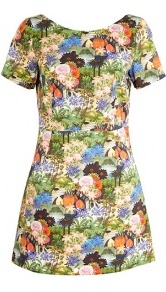 Novella Tropical Print Dress - style: shift; length: mini; neckline: round neck; waist detail: fitted waist; back detail: low cut/open back; occasions: casual, holiday; fit: soft a-line; fibres: cotton - 100%; predominant colour: multicoloured; sleeve length: short sleeve; sleeve style: standard; trends: statement prints; pattern type: fabric; pattern size: big & busy; texture group: jersey - stretchy/drapey