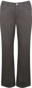 Women's Taupe Slim Leg Jean, Taupe - style: straight leg; length: standard; pattern: plain; pocket detail: traditional 5 pocket; waist: mid/regular rise; predominant colour: taupe; occasions: casual; fibres: cotton - stretch; jeans detail: dark wash; texture group: denim; pattern type: fabric