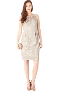 Kaitlin Dress - style: shift; neckline: round neck; fit: tailored/fitted; sleeve style: sleeveless; waist detail: fitted waist; shoulder detail: contrast pattern/fabric at shoulder; back detail: contrast pattern/fabric at back; predominant colour: stone; occasions: evening, occasion; length: just above the knee; fibres: polyester/polyamide - 100%; hip detail: sculpting darts/pleats/seams at hip; bust detail: contrast pattern/fabric/detail at bust; sleeve length: sleeveless; texture group: lace; pattern type: fabric; pattern size: standard; pattern: patterned/print; embellishment: embroidered