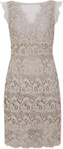 Lace & Sheer Dress, Stone - style: shift; neckline: slash/boat neckline; sleeve style: angel/waterfall; fit: tailored/fitted; pattern: plain; waist detail: fitted waist; back detail: low cut/open back; predominant colour: stone; occasions: evening, occasion; length: just above the knee; fibres: cotton - 100%; sleeve length: short sleeve; texture group: lace; trends: high impact florals; pattern type: fabric; pattern size: standard; embellishment: lace