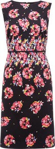 Simone Dress, Multi - style: shift; neckline: slash/boat neckline; fit: tailored/fitted; sleeve style: sleeveless; occasions: evening, work, occasion; length: on the knee; fibres: cotton - stretch; predominant colour: multicoloured; sleeve length: sleeveless; trends: high impact florals; pattern type: fabric; pattern size: big & busy; pattern: florals; texture group: other - light to midweight