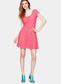 Lace Skater Dress, Lime - length: mid thigh; sleeve style: capped; pattern: plain; predominant colour: pink; occasions: casual, holiday; fit: fitted at waist & bust; style: fit & flare; neckline: scoop; fibres: polyester/polyamide - stretch; sleeve length: short sleeve; texture group: lace; pattern type: fabric