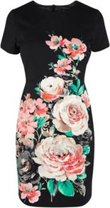 Neon Rose Print Dress - style: shift; fit: tailored/fitted; secondary colour: ivory; predominant colour: black; occasions: evening; length: just above the knee; fibres: cotton - stretch; neckline: crew; sleeve length: short sleeve; sleeve style: standard; texture group: cotton feel fabrics; trends: high impact florals; pattern type: fabric; pattern size: big & busy; pattern: florals