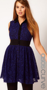 Curve Mini Lace Dress With Elastic Waist - style: shirt; neckline: shirt collar/peter pan/zip with opening; fit: fitted at waist; pattern: plain; sleeve style: sleeveless; waist detail: elasticated waist; back detail: contrast pattern/fabric at back; predominant colour: navy; occasions: casual, evening, occasion; length: just above the knee; fibres: polyester/polyamide - stretch; sleeve length: sleeveless; texture group: lace; trends: volume; pattern type: fabric