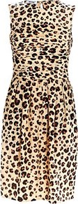 Leopard Rose Detail Dress - style: shift; neckline: round neck; fit: fitted at waist; sleeve style: sleeveless; waist detail: twist front waist detail/nipped in at waist on one side/soft pleats/draping/ruching/gathering waist detail; occasions: casual, evening, occasion; length: just above the knee; fibres: polyester/polyamide - 100%; back detail: keyhole/peephole detail at back; predominant colour: multicoloured; sleeve length: sleeveless; texture group: cotton feel fabrics; pattern type: fabric; pattern size: big & busy; pattern: animal print