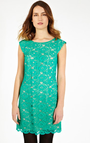 Izzy Lace Shift Dress - style: shift; length: mid thigh; neckline: round neck; sleeve style: capped; pattern: plain; predominant colour: mint green; secondary colour: nude; occasions: evening, occasion; fit: soft a-line; sleeve length: short sleeve; texture group: lace; trends: glamorous day shifts; pattern type: fabric; fibres: viscose/rayon - mix