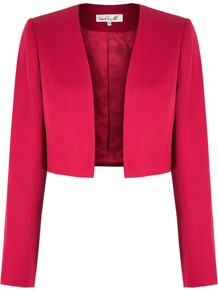 Women's Dreis Bolero, Pink - pattern: plain; style: bolero/shrug; collar: shawl/waterfall; length: cropped; predominant colour: hot pink; occasions: casual, evening, work, occasion; fit: tailored/fitted; fibres: polyester/polyamide - 100%; sleeve length: long sleeve; sleeve style: standard; collar break: low/open; pattern type: fabric; pattern size: standard; texture group: other - light to midweight