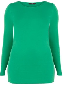Apple Long Sleeve Crew Top - neckline: round neck; pattern: plain; waist detail: fitted waist; hip detail: fitted at hip; predominant colour: emerald green; occasions: casual, work; length: standard; style: top; fibres: polyester/polyamide - stretch; fit: body skimming; sleeve length: long sleeve; sleeve style: standard; pattern type: fabric; pattern size: standard; texture group: jersey - stretchy/drapey