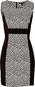 Beige/Black Spotted Snow Dress - style: shift; length: mid thigh; neckline: round neck; fit: tailored/fitted; sleeve style: sleeveless; waist detail: embellishment at waist/feature waistband; secondary colour: white; predominant colour: black; occasions: evening; fibres: polyester/polyamide - stretch; sleeve length: sleeveless; pattern type: fabric; pattern size: standard; pattern: animal print; texture group: jersey - stretchy/drapey