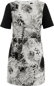 Athena Print Dress - style: shift; length: mini; neckline: round neck; fit: tailored/fitted; shoulder detail: contrast pattern/fabric at shoulder; back detail: contrast pattern/fabric at back; secondary colour: light grey; occasions: evening; fibres: silk - mix; sleeve length: short sleeve; sleeve style: standard; texture group: silky - light; predominant colour: monochrome; trends: high impact florals; pattern type: fabric; pattern size: big & busy; pattern: florals