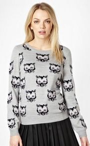 Grey All Over Geeky Cat Jumper - neckline: round neck; style: standard; predominant colour: light grey; occasions: casual, work; length: standard; fibres: acrylic - 100%; fit: standard fit; sleeve length: long sleeve; sleeve style: standard; texture group: knits/crochet; trends: statement prints; pattern type: knitted - other; pattern size: standard; pattern: animal print, patterned/print