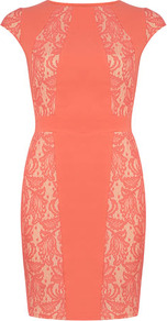Coral Lace Bonded Dress - length: mid thigh; sleeve style: capped; fit: tight; pattern: plain; style: bodycon; predominant colour: coral; occasions: evening, occasion; fibres: polyester/polyamide - 100%; neckline: crew; sleeve length: short sleeve; texture group: lace; pattern type: fabric; embellishment: lace